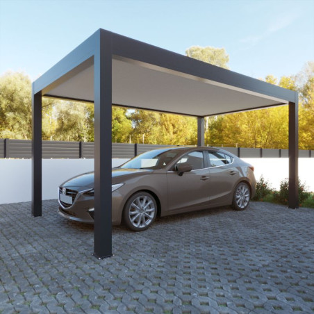 Carport Aluminium Toit Plat Autoporté Sur Mesure
