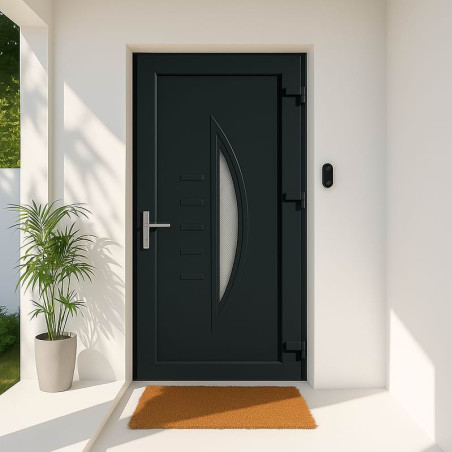 Porte d'Entrée en PVC STARTER BESANÇON Standard 2150 x 900 mm