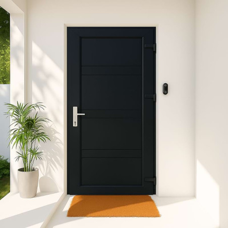 Porte d'Entrée en PVC STARTER BAYONNE Standard 2150 x 900 mm