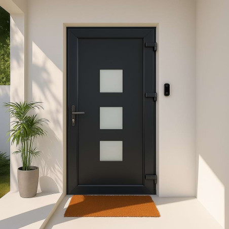 Porte d'Entrée en PVC STARTER PAU Sur Mesure