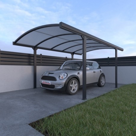 Carport Aluminium Cintré 5 x 3 m