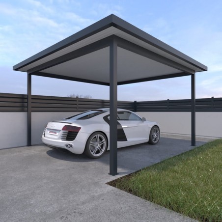 Carport Aluminium Toit Plat avec Débords 4 x 4 m