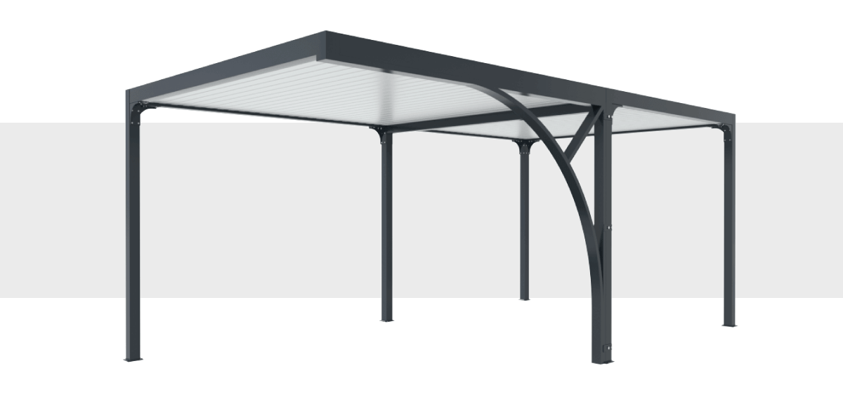Fournitures Carport avec Dégagement Toit Plat