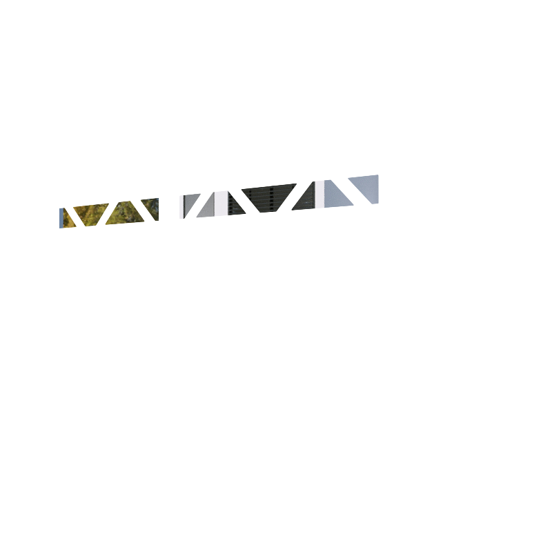 OBLIQUE