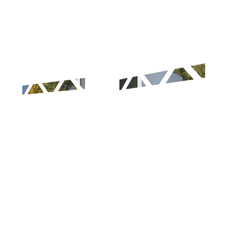 OBLIQUE