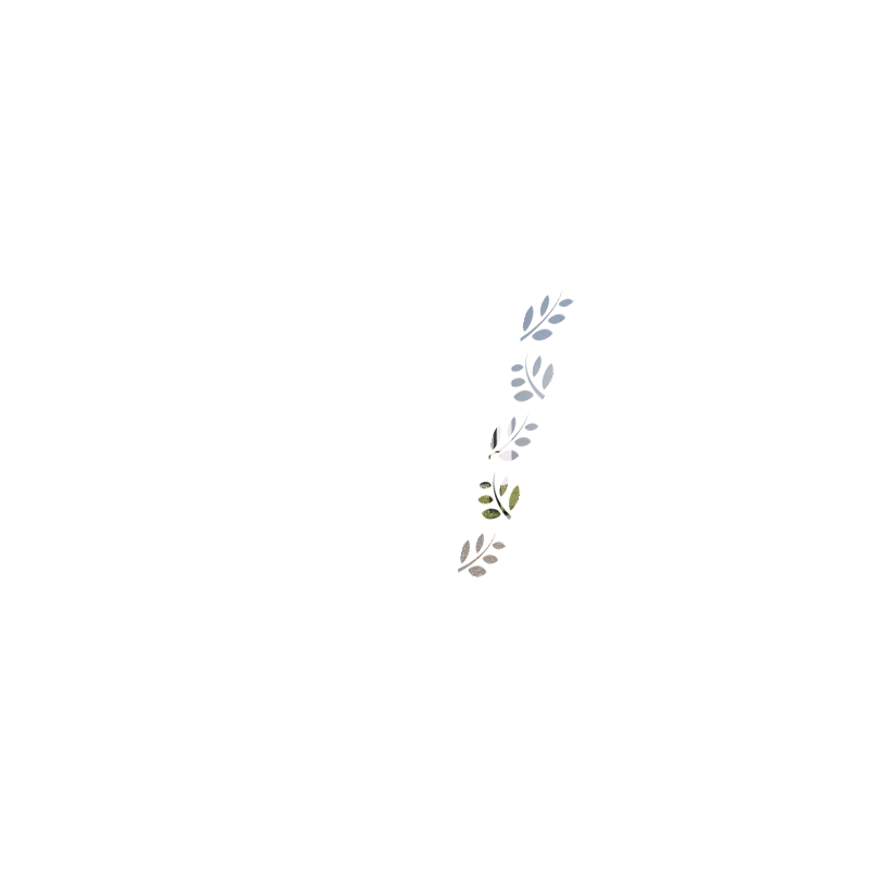 BRANCHES