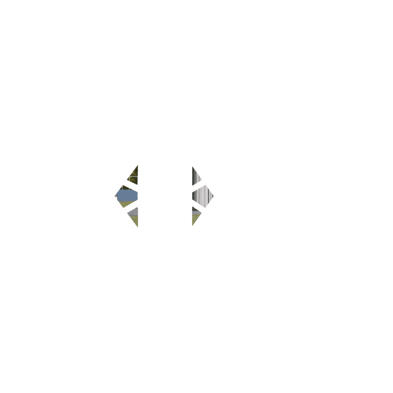 OBLIQUE