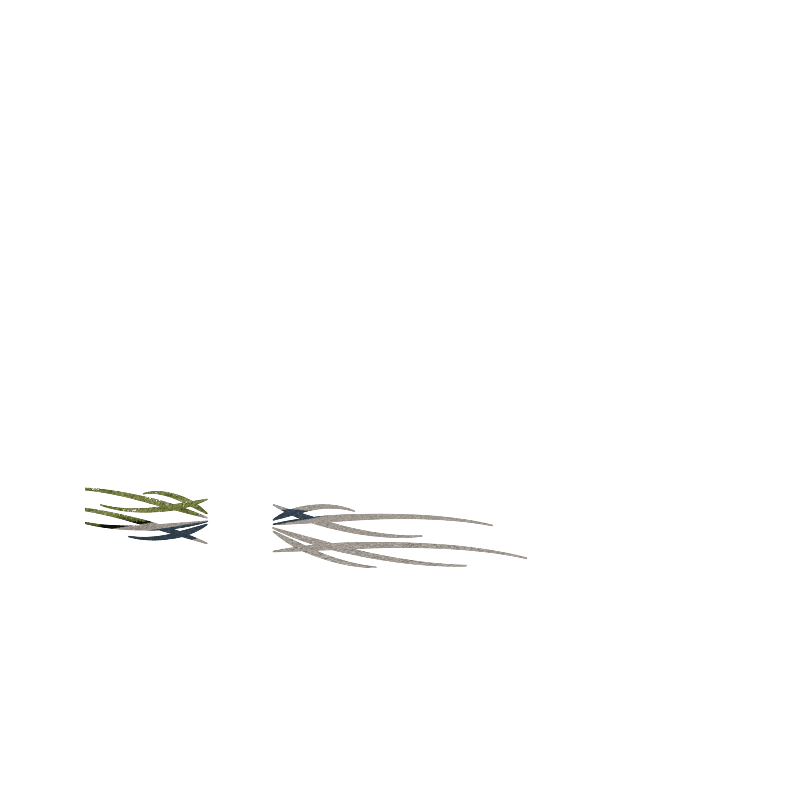 TRIBALE