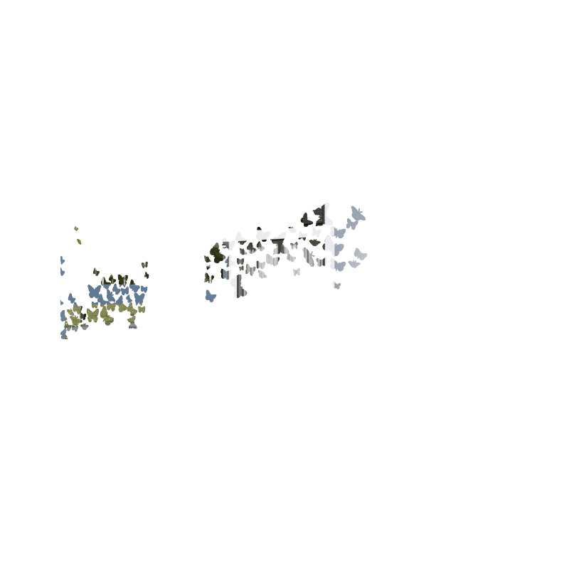 PAPILLONS