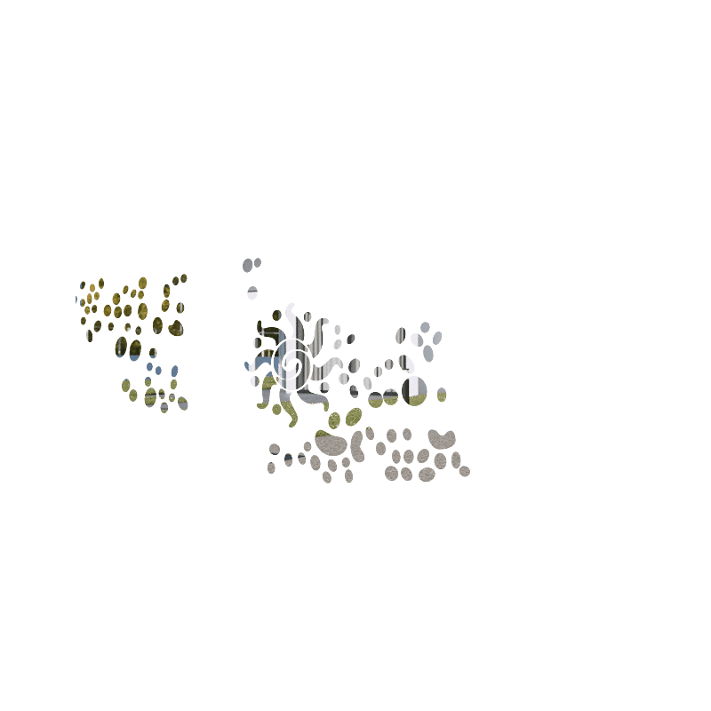 ÉTÉ