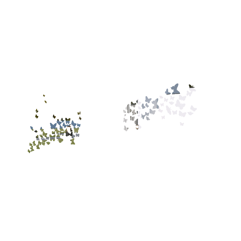 PAPILLONS