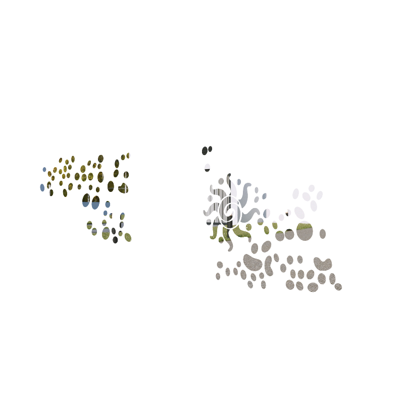 ÉTÉ
