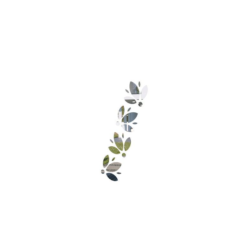 FLEURS