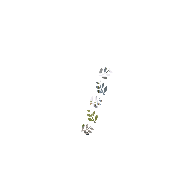 BRANCHES