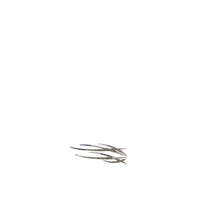 TRIBALE
