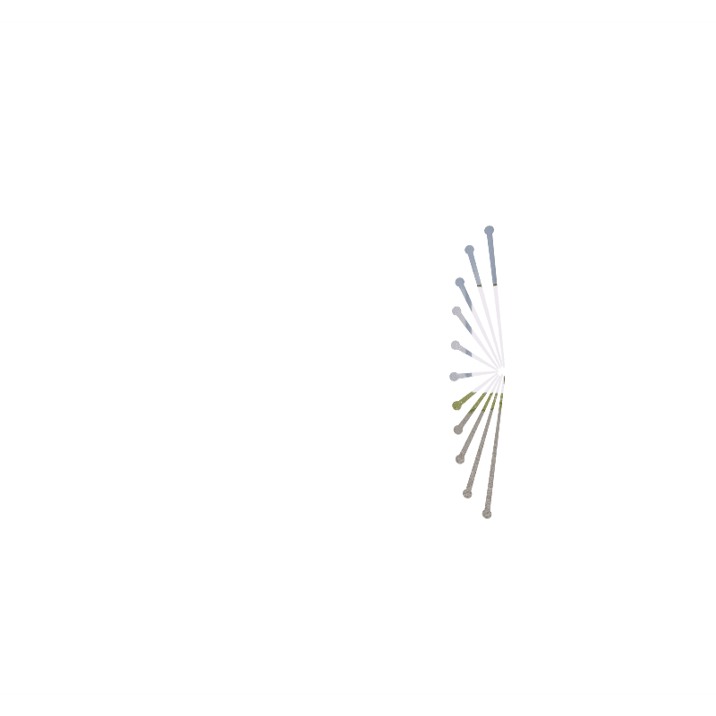 Pan