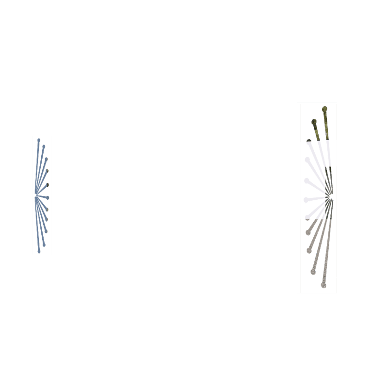 Pan